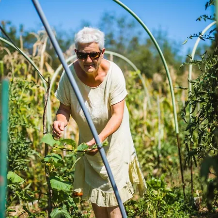 House In With Terrace, Air Conditioning, Wifi 3709-2 * Zrnovo