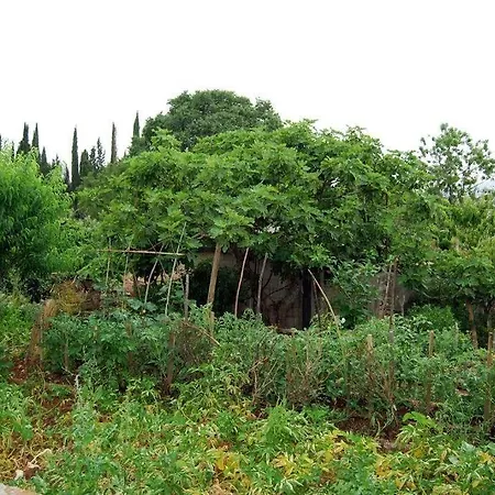 House In With Terrace, Air Conditioning, Wifi 3709-2 Zrnovo