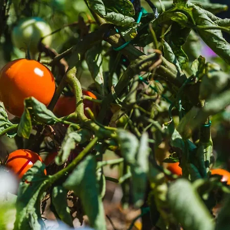 Dom wakacyjny House In With Terrace, Air Conditioning, Wifi 3709-2