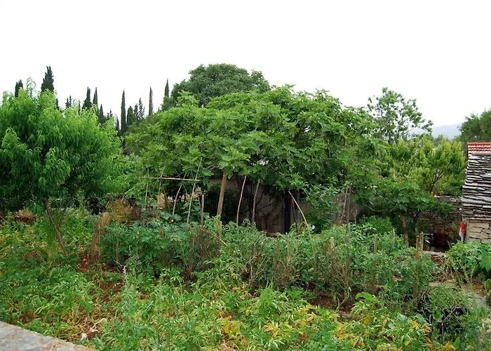 House In With Terrace, Air Conditioning, Wifi 3709-2 Žrnovo